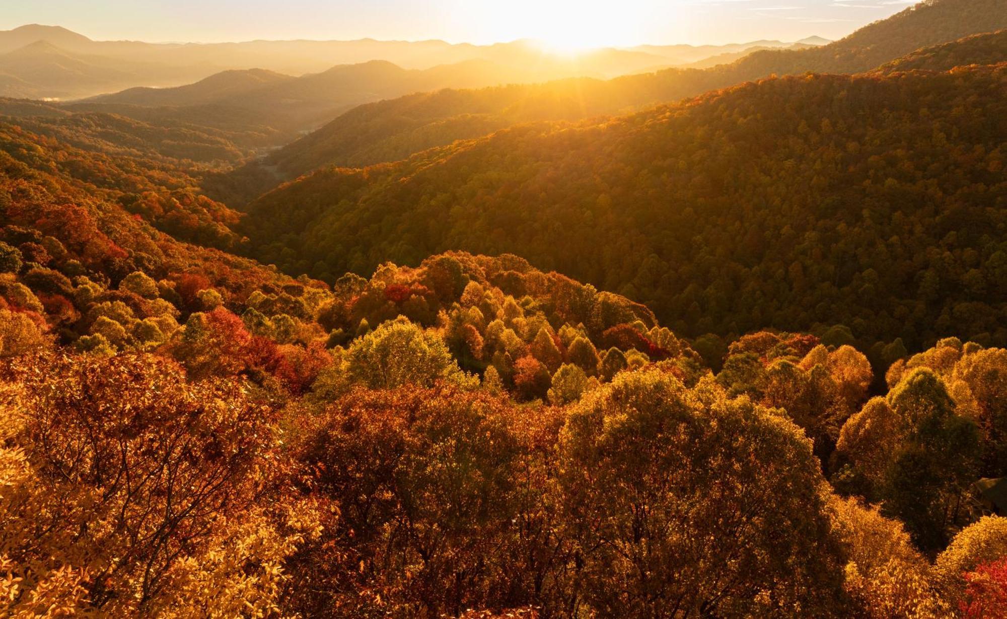 Elk & Embers Mountain Hideaway Ξενοδοχείο Waynesville Εξωτερικό φωτογραφία