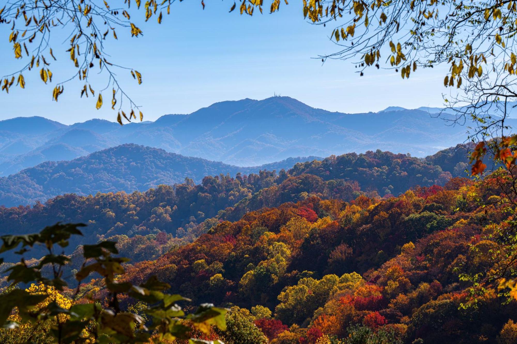 Elk & Embers Mountain Hideaway Ξενοδοχείο Waynesville Εξωτερικό φωτογραφία